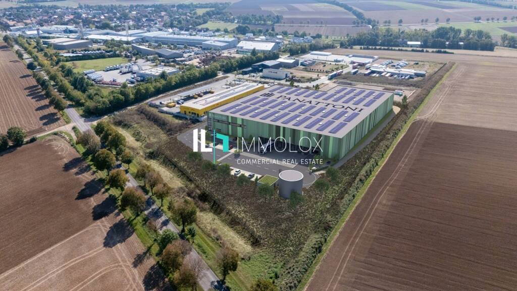 Lagerhalle zur Miete provisionsfrei 8.200 m² Lagerfläche Erbes-Büdesheim 55234