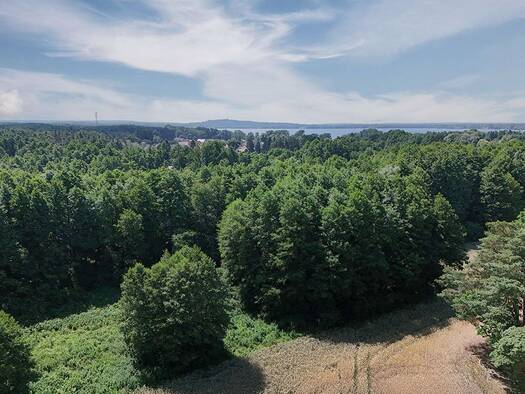 Land-/Forstwirtschaft zum Kauf 1.500 € 2.171 m² Grundstück Wolzig Heidesee 15754