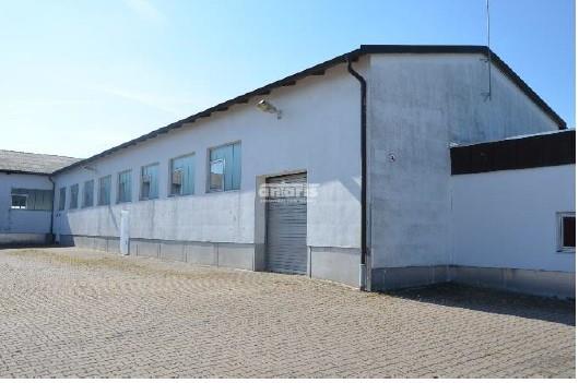 Lagerhalle zur Miete provisionsfrei 250 m²<br/>Lagerfläche ab 250 m²<br/>Teilbarkeit Arnstadt Arnstadt 99310