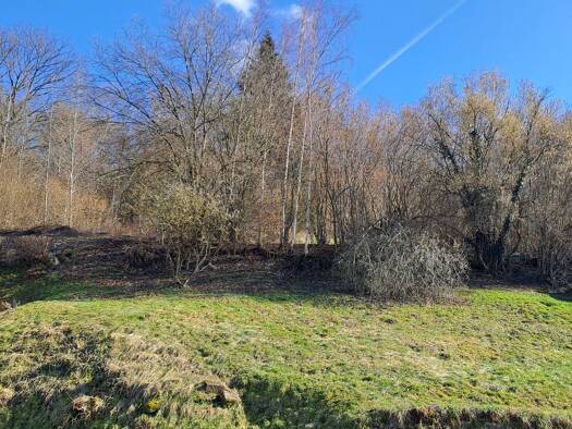 Grundstück zum Kauf 125.000 € 431 m² Grundstück Bad Orb 63619