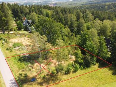 Grundstück zum Kauf 179.000 € 2.346 m² Grundstück Waldidylle Altenberg / Waldidylle 01773