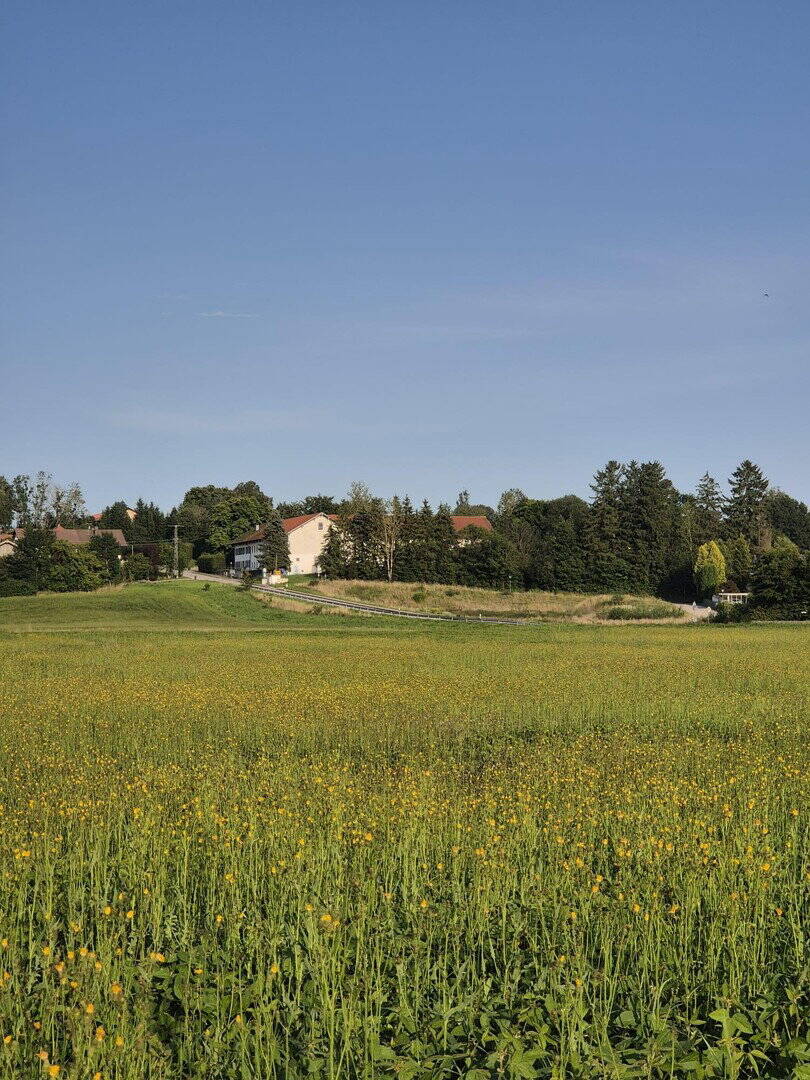 Einfamilienhaus zum Kauf - Erstbezug - Ansicht 6