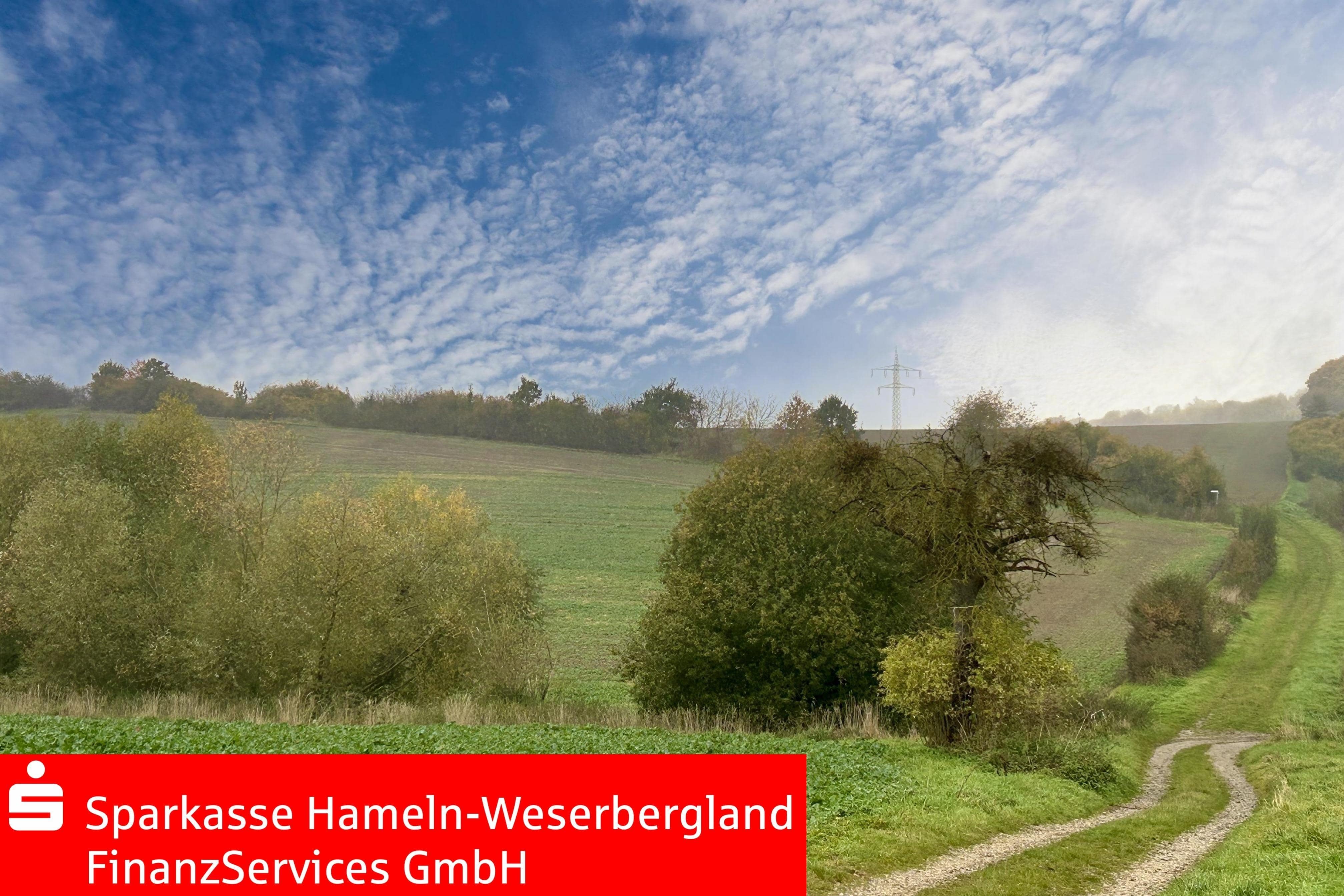 Land-/Forstwirtschaft zum Kauf 400.000 € 56.620 m²<br/>Grundstück Voremberg Emmerthal 31860