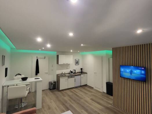 Wohnung zur Miete 1.200 € 1 Zimmer 33 m² EG frei ab 01.01.2027 Kirchheim Heidelberg 69124