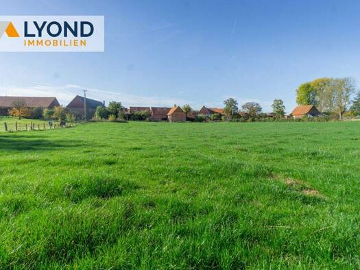 Bauernhaus zum Kauf 330.000 € 9 Zimmer 342,5 m² 3.605 m² Grundstück Dehausen Diemelstadt / Dehausen 34474