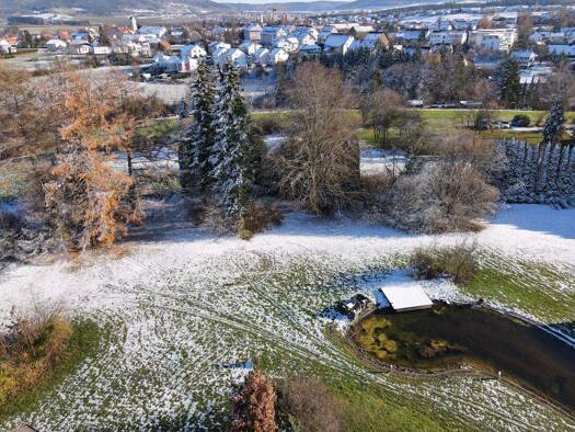 Grundstück zum Kauf 534.000 € 3.335 m² Grundstück Aldingen 78554