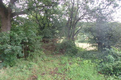 Grundstück zum Kauf provisionsfrei 4.750 € 9.016 m² Grundstück Bodenfelde Bodenfelde 37