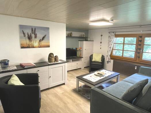 Wohnung zum Kauf provisionsfrei 145.000 € 2 Zimmer 43 m² 1. Geschoss Brandenberg Todtnau 79674
