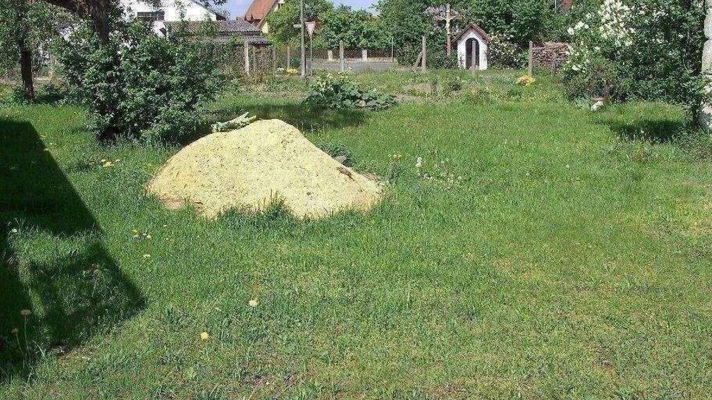 Grundstück zum Kauf 235.000 € 1.132 m² Grundstück Wachenroth 96193