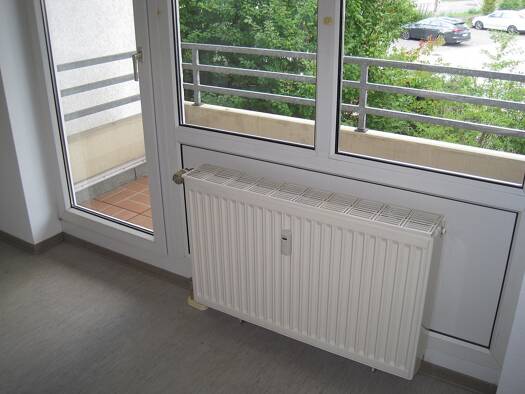 Wohnung zur Miete 265 € 1 Zimmer 29 m² Geschoss 1/3 frei ab sofort Ernst-Abbe-Straße 4 Itzum Hildesheim 31141