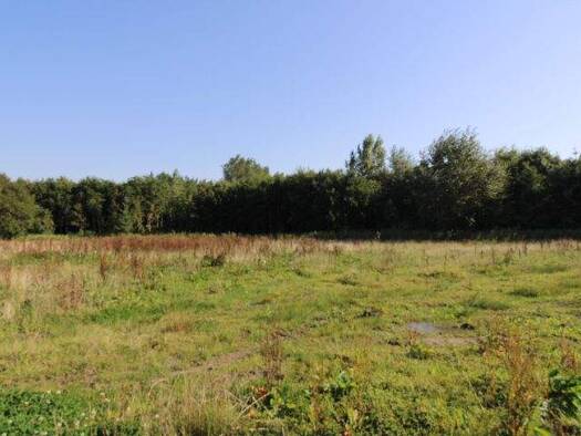 Grundstück zum Kauf 116.000 € 796 m² Grundstück Stollhamm Butjadingen / Eckwarden 26969