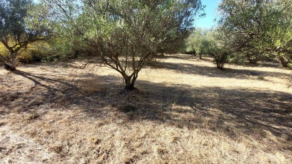 Land-/Forstwirtschaft zum Kauf 160.000 € 3.500 m² Grundstück Thessaloniki