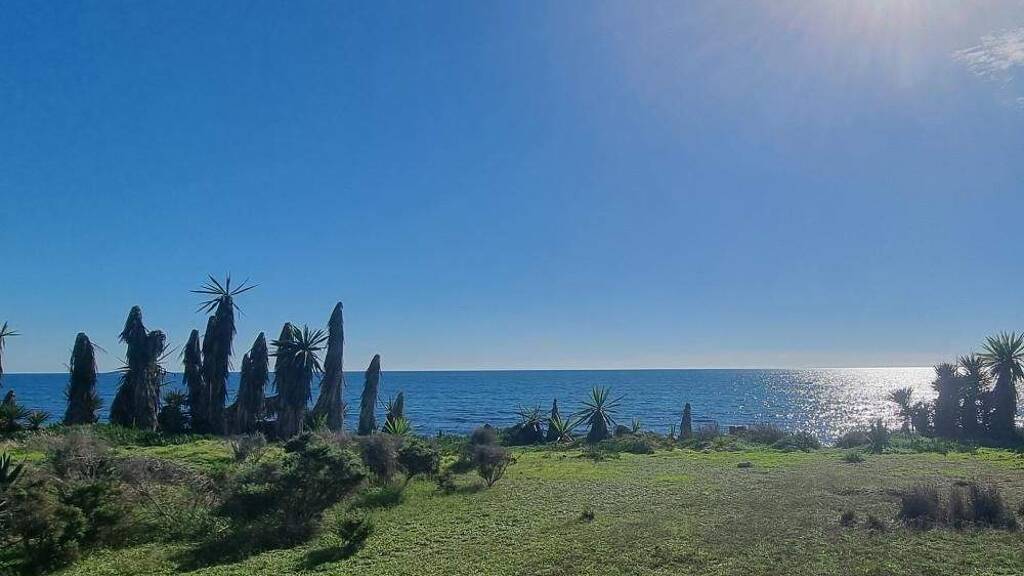 Grundstück zum Kauf 15.000.000 € 9.006 m² Grundstück Marbella 29600