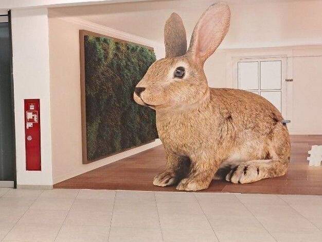 Ladenfläche zur Miete 1 Zimmer 96 m² Verkaufsfläche Stadtgebiet Göppingen 73033