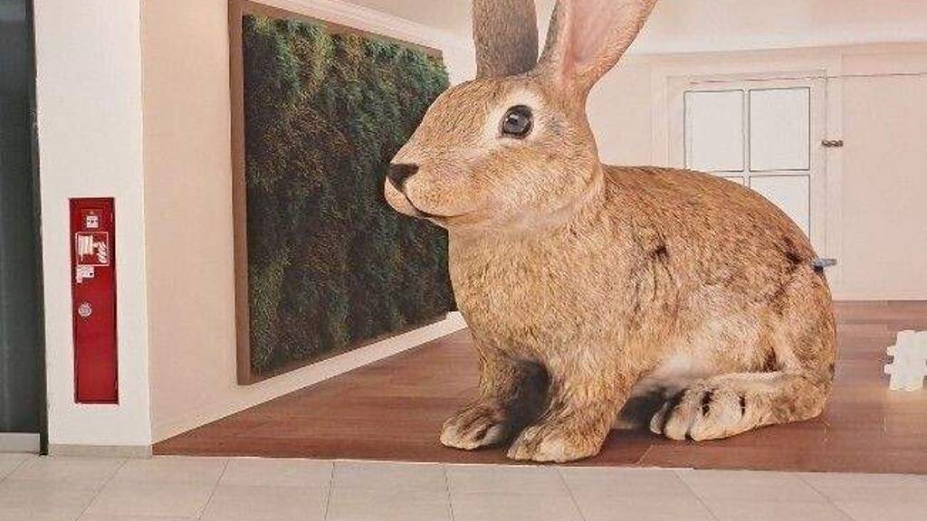 Ladenfläche zur Miete 1 Zimmer 96 m² Verkaufsfläche Stadtgebiet Göppingen 73033