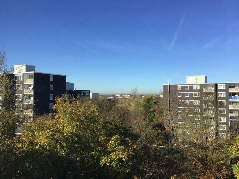 Wohnung zur Miete nur mit Wohnberechtigungsschein 435 € 3 Zimmer 81,6 m² 5. Geschoss frei ab 18.05.2025 Julius-Leber-Weg 3 Horst Essen 45279