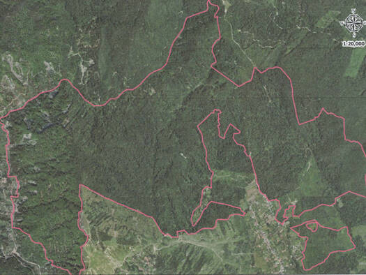 Forstwirtschaft zum Kauf 9.000.000 € 15.000.000 m² Vrancea 625300
