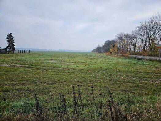 Bauernhaus zum Kauf 165.000 € 16 Zimmer 300 m² 22.200 m² Grundstück frei ab sofort Beiersdorf Uebigau-Wahrenbrück 04924