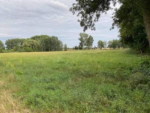 Grundstück zum Kauf 25.000 m² Grundstück Kiekebusch Schönefeld 12529