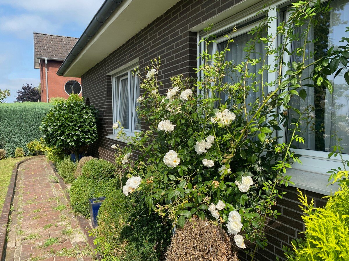 Einfamilienhaus zum Kauf 6 Zimmer 135 m²<br/>Wohnfläche 633 m²<br/>Grundstück Stadtkern Vechta 49377