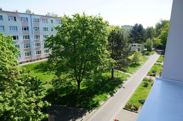 Wohnung zum Kauf provisionsfrei 66.000 € 2 Zimmer 47 m² 3. Geschoss Nordstr. 5 Neukieritzsch Neukieritzsch 04575