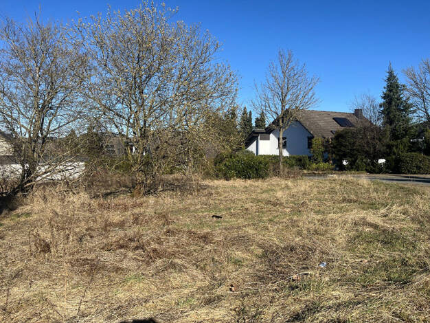 Grundstück zum Kauf 42.500 € 708 m² Grundstück Medebach Medebach 59964