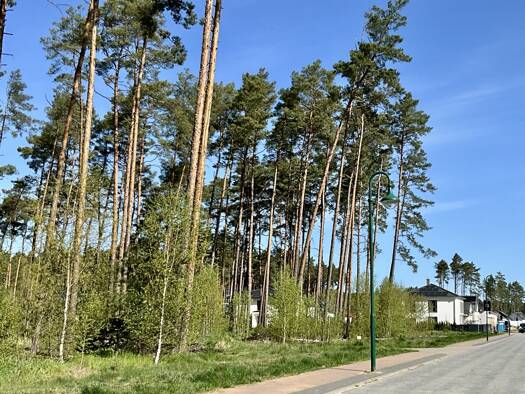Grundstück zum Kauf provisionsfrei 140.000 € 636 m² Grundstück Borkwalde 14822