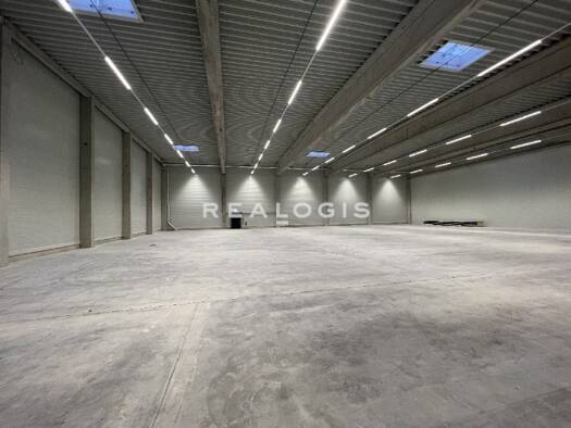 Halle/Industriefläche zur Miete provisionsfrei 8.500 m² Lagerfläche teilbar ab 5.000 m² Gernsheim 64579