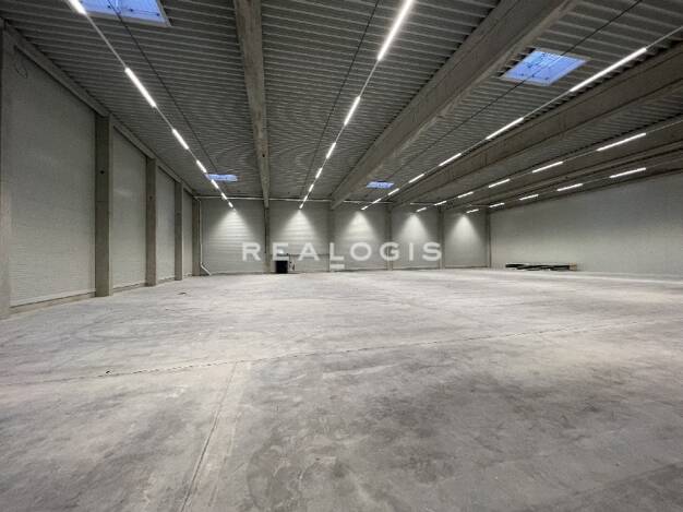 Halle/Industriefläche zur Miete provisionsfrei 8.500 m² Lagerfläche teilbar ab 5.000 m² Gernsheim Gernsheim 64579