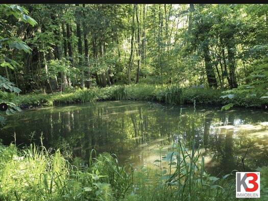 Mehrfamilienhaus zum Kauf 1.600.000 € 11 Zimmer 13.750 m² Grundstück Salzburg 5020