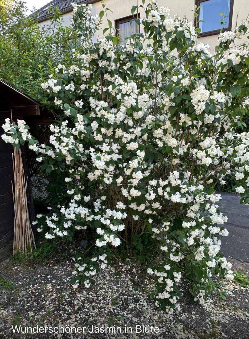 Property thumbnail 36