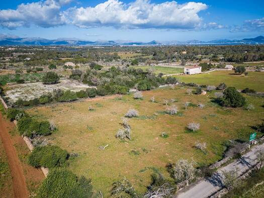 Grundstück zum Kauf 285.000 € 17.631 m² Grundstück Santa Margalida 07450