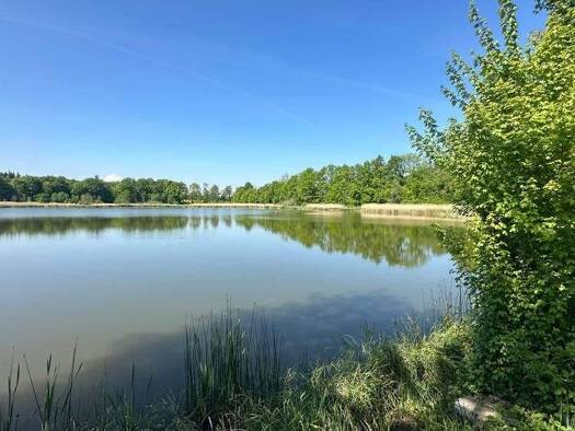 Sonstiges zum Kauf 790.000 € Gutershofen Attenweiler 88448