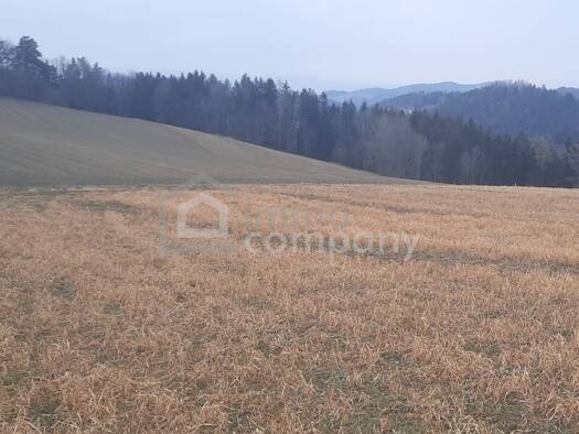 Landwirtschaftliche Fläche zum Kauf 25.934 m² Grundstück Wiesmath 2811