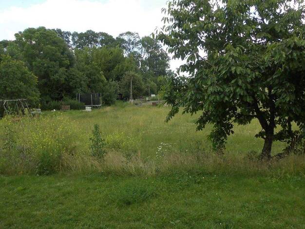 Wohnung zur Miete Wohnen auf Zeit 1.499 € 2 Zimmer 61 m² frei ab sofort Wietstock Ludwigsfelde 14974