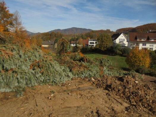 Doppelhaushälfte zum Kauf - Erstbezug 659.000 € 4,5 Zimmer 118 m² 250 m² Grundstück Schopfheim 79650