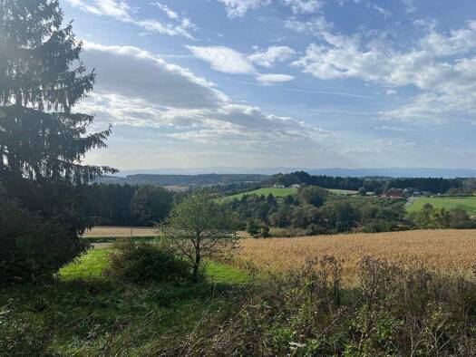 Grundstück zum Kauf 375.000 € 3.250 m² Grundstück Allerheiligen bei Wildon 8410