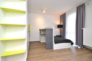 Wohnung zur Miete Wohnen auf Zeit 665 € 1 Zimmer 26 m² frei ab 01.08.2025 Frauenland Würzburg 97074