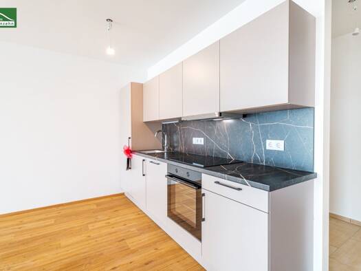 Wohnung zur Miete - Erstbezug 753 € 2 Zimmer 53,2 m² 11. Geschoss frei ab 01.05.2026 Kärntner Straße 1 Gries Graz 8020