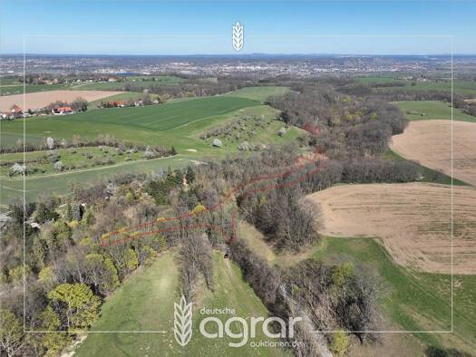 Land-/Forstwirtschaft zum Kauf 6.500 € 10.072 m² Grundstück Naustadt Klipphausen 01665
