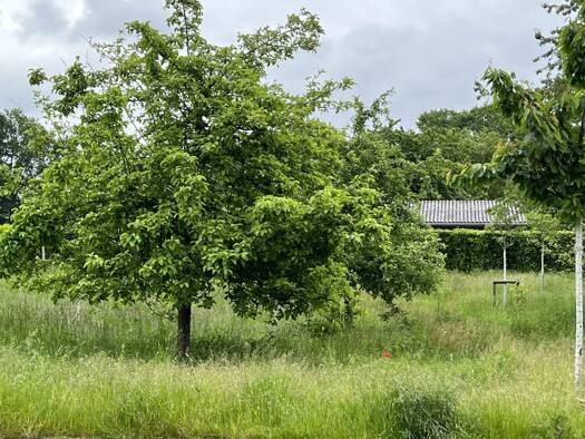 Grundstück zum Kauf 158.038 € 638 m² Grundstück Langenhorst Ochtrup 48607