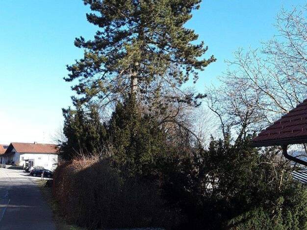 Einfamilienhaus zum Kauf provisionsfrei 300.000 € 6 Zimmer 252 m² 1.535 m² Grundstück Wildenranna Wegscheid 94110