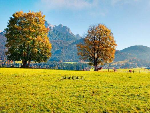 Grundstück zum Kauf 570 m² Grundstück Leogang 5771