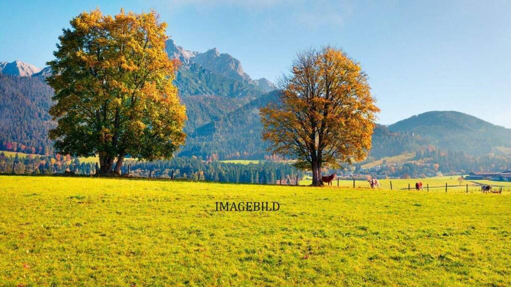 Grundstück zum Kauf 570 m² Grundstück Leogang 5771