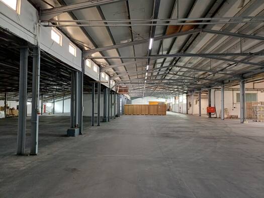 Lagerhalle zur Miete 7.400 m² Lagerfläche Dannstadt Dannstadt-Schauernheim 67125