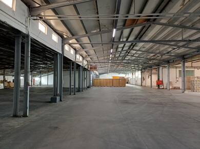 Lagerhalle zur Miete 7.400 m² Lagerfläche Dannstadt Dannstadt-Schauernheim 67125