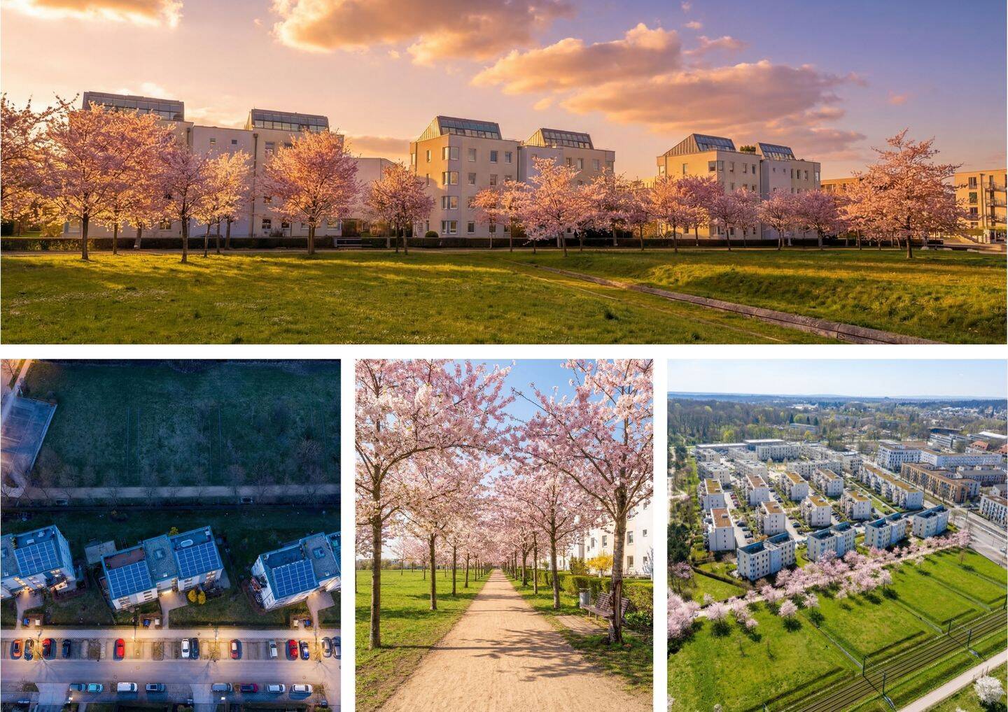 Wohnung – Potsdam, Bornim - Ansicht 2