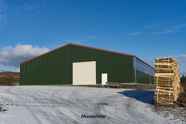 Lagerhalle zum Kauf 710.000 € 1.250 m²<br/>Lagerfläche Bad Buchau Bad Buchau 88422