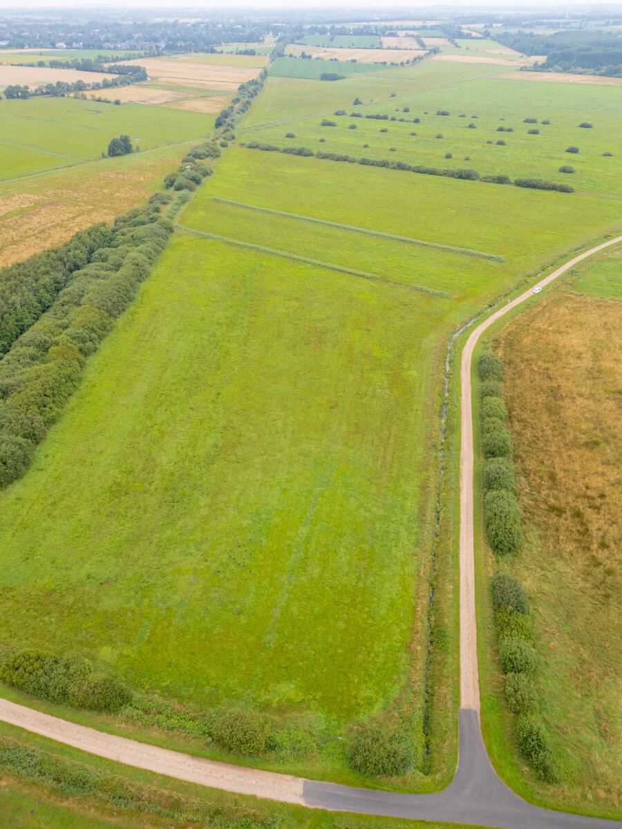 Land-/Forstwirtschaft zum Kauf 31.497 m²<br/>Grundstück Oldersbek 25873