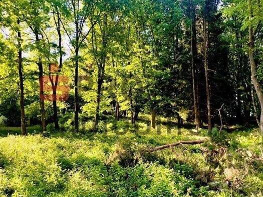 Grundstück zum Kauf 179.000 € 2.128 m² Grundstück Neunkirchen 66539